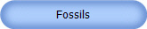 Fossils